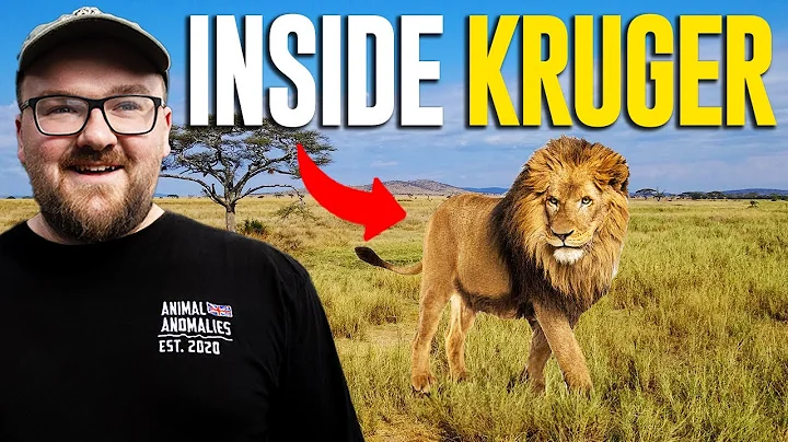 Searching Kruger National Park for Amazing Rare Animals thumbnail