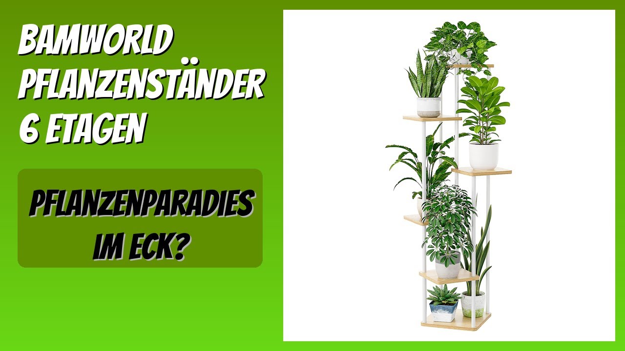 BEWERTUNG (2026): Bamworld Pflanzenständer 6 Etagen. Infos