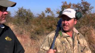 What Are The Best Hunting Calibers For African Game? screenshot 4