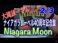 大滝詠一さん ナイアガラレーベル 40周年記念 Niagara Moon 発売 2/3