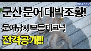 Master Ep.13]군산문어낚시 터졌다!! 대박조황 -문어낚시테크닉 전격공개(Octopus Fishing Technique) -  Youtube