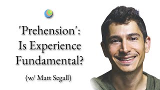 Metamodern Spirituality | 'Prehension': Is Experience Fundamental? (w/ Matt Segall)