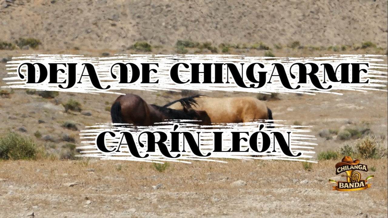 Carín León - Deja de Chingarme (Letra-Lyrics)