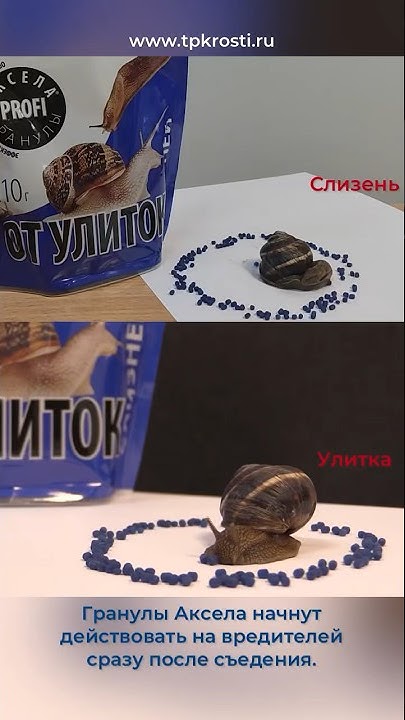 Что любят слизни? Гранулы Аксела от слизней и улиток #огород #дача # ...
