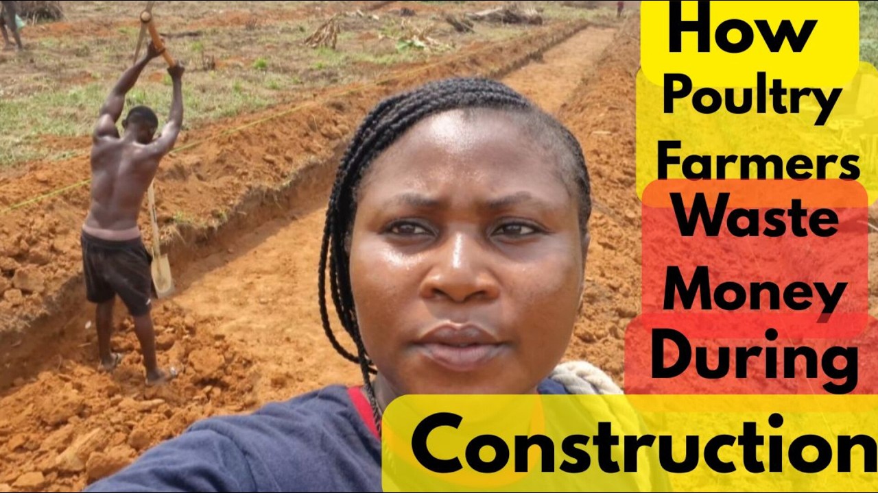 Где птицеводы тратят деньги впустую во время строительства | Серия статей о расширении ферм
