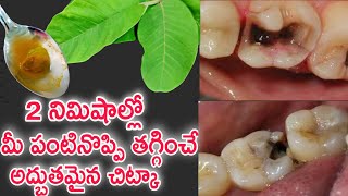 2 నమషలల మ పపప పననల ఉనన పరగల మయ,పట నపప తగగతద..Teeth Cavity,Pain Remedies