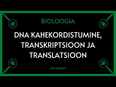 Video: Milliseid ensüüme on translatsiooniks vaja?