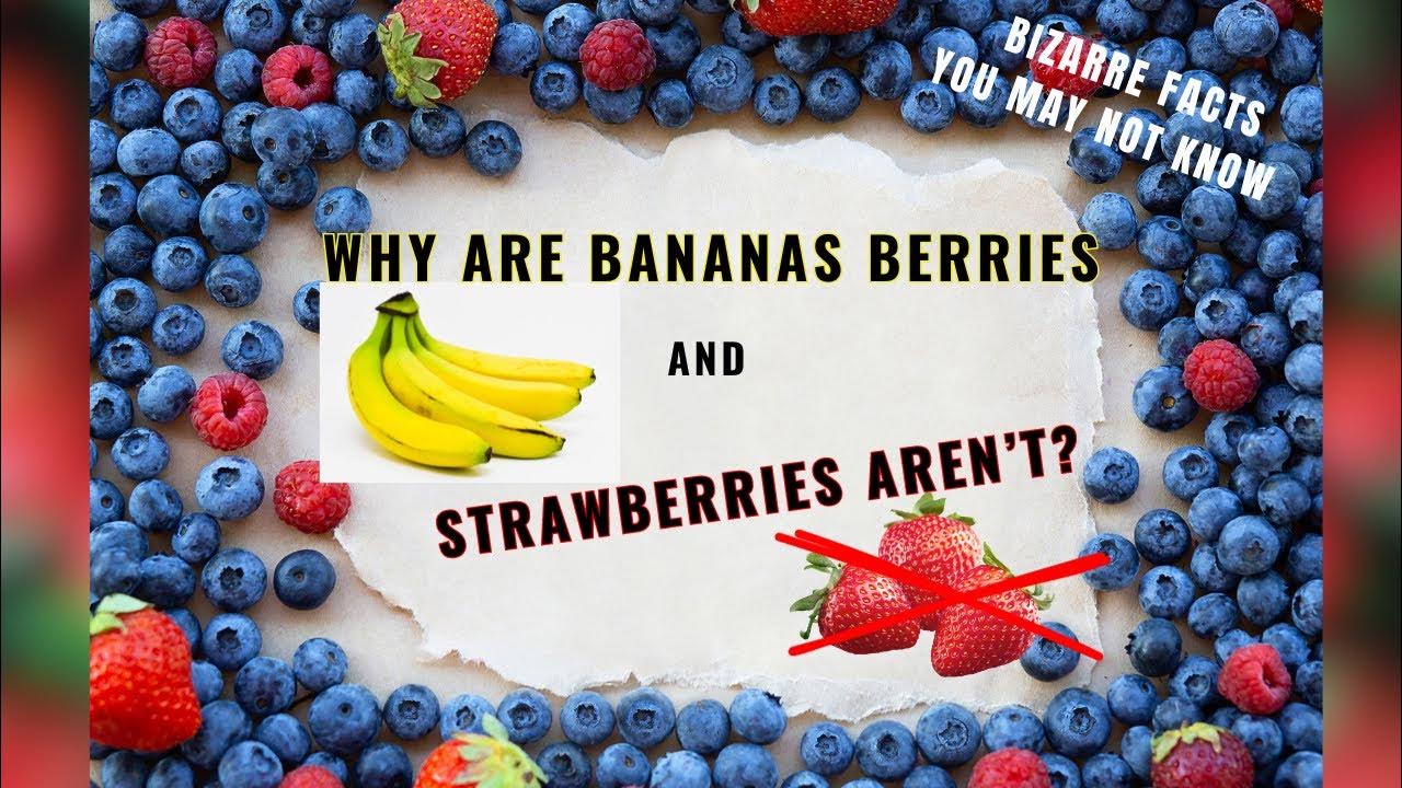 Why Are Bananas Berries But Strawberries Aren't YouTube