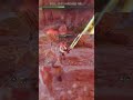 FULL BOSSES DE GOD OF WAR RAGNAROK (KRATOS VS EGIL, O GUARDIÃO FIEL)