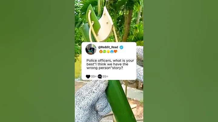 Police officers, what is your best"I think we have the wrong person"story?#reddit #story #storytime