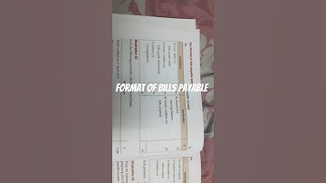 format of bills payable account