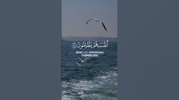 سورة يونس (إِنَّ اللَّهَ لَا يَظْلِمُ النَّاسَ شَيْئًا وَلَٰكِنَّ النَّاسَ أَنفُسَهُمْ يَظْلِمُون)