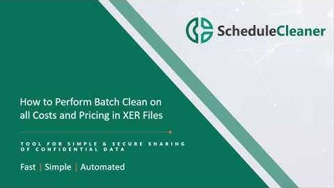 How to Perform Batch Clean on all Costs and Pricing in XER Files