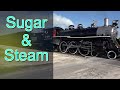 Sugar &amp; Steam In South Florida