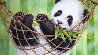 😍 Cute Moments with Pandas 🐼 | Baby Pandas Videos 🥰 | Funny Animals Compilation 😊