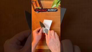 Spyderco Sage 5 SMKW Exclusive - Quick Cut Test