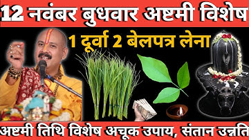 12 नवंबर बुधवार अष्टमी विशेष उपाय | 1 दूर्वा 2 बेलपत्र का चमत्कारी प्रयोग | pradeep Mishra 