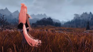 Hair Pack 02 for Skyrim SE v 0.11 (HDT SMP)