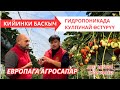 Кийинки баскыч: Гидропоникада кулпунай өстүрүү. Европа агро сапар🍓🇰🇬🇪🇺🇮🇹