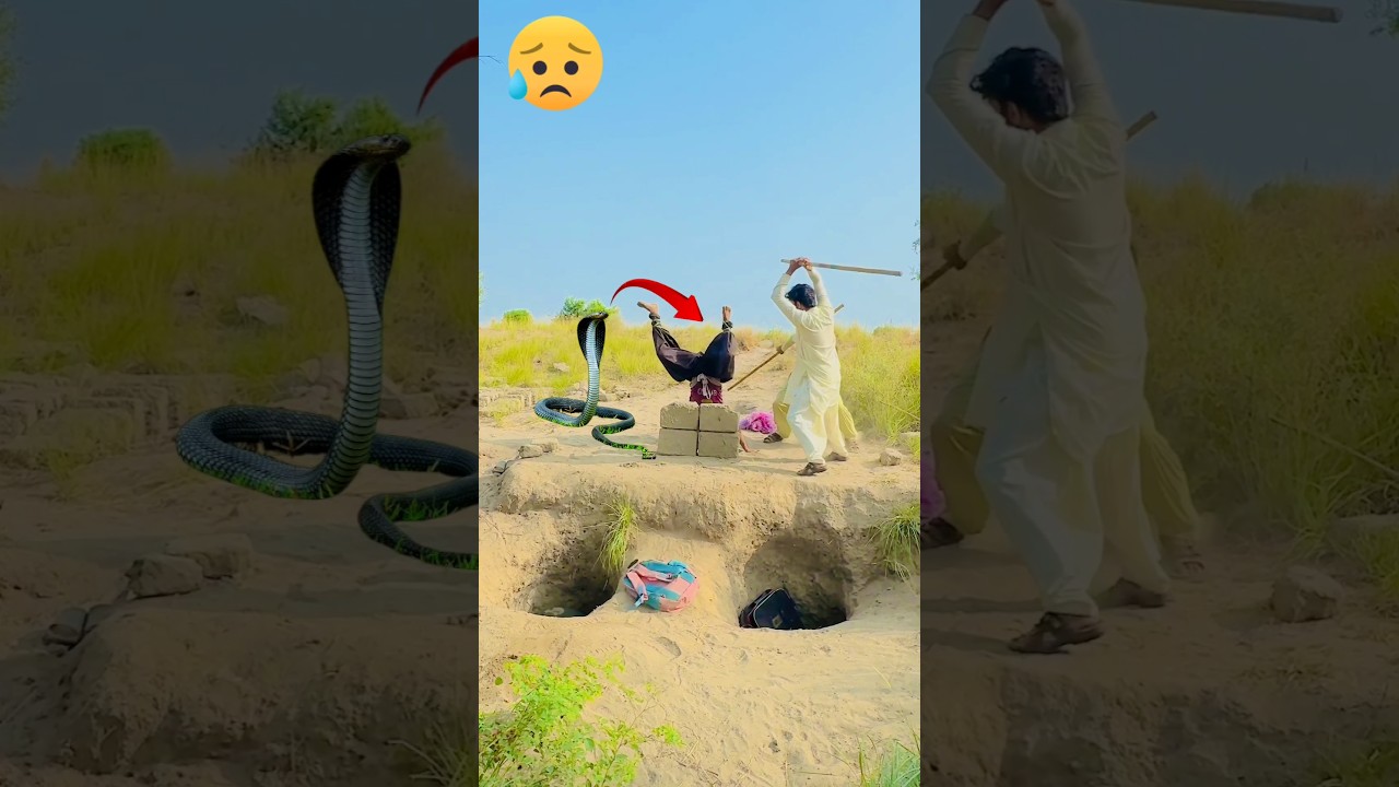 Oh No 😲😢 Wait For End 😇