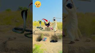 Oh No 😲😢 Wait For End 😇#shorts Oh No 😲😢 Wait For End 😇#shorts