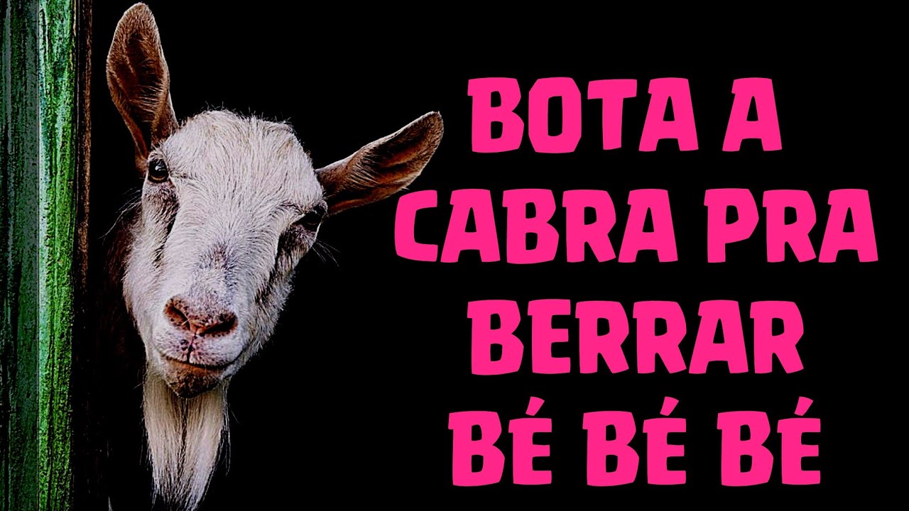 Bota a cabra pra berrar - YouTube