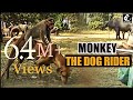 MONKEY THE DOG RIDER.