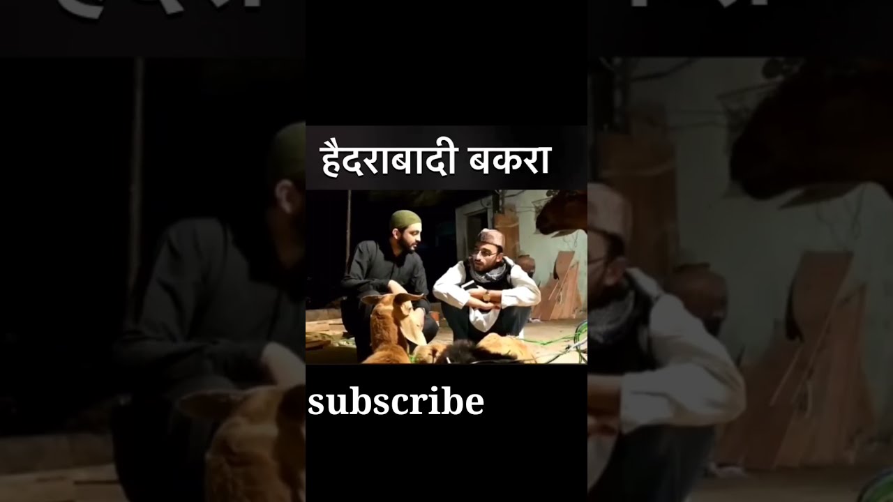 FUNNY BAKRID SCENES Hyderabadi Comedy |  The Baigan Vines