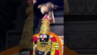 #hindibhakti #shivashakti #sanatanadharma #facts #astrolodevotionalgy #youtubeshorts #ashtrology