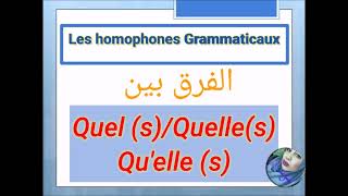 Les homophones grammaticauxquel(s),quelle(s)/quelle(s)شرح بالعربية الفرق بينFrançais avecSarah