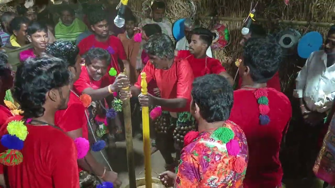 Kaki apisu tappetagullu