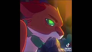 Warrior cats Tik Tok Compilation prt1