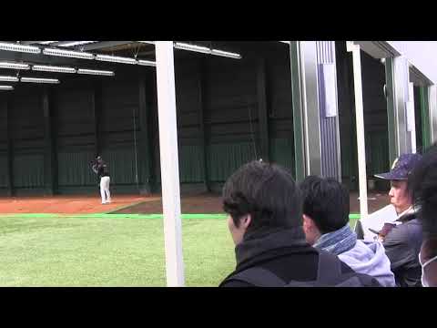 2019年2月9日清武オリックスキャンプブルペン　吉田、東名