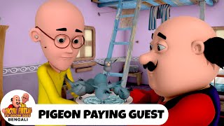 Pigeon Paying Guest | কবুতরের পেয়িং গেস্ট | Motu Patlu Show Bengali 2025 | Comedy Bangla Cartoon