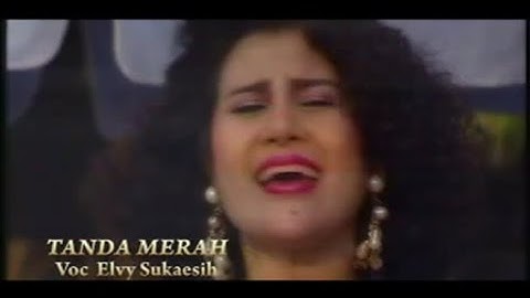 Elvy Sukaesih - Tanda Merah (Official Lyric Video)
