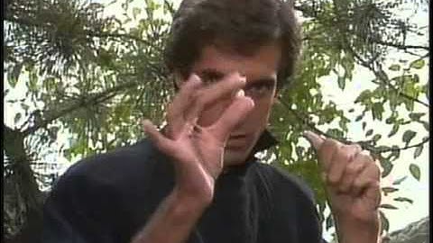 Những màn trình diễn ảo thuật của David Copperfield   YouTube