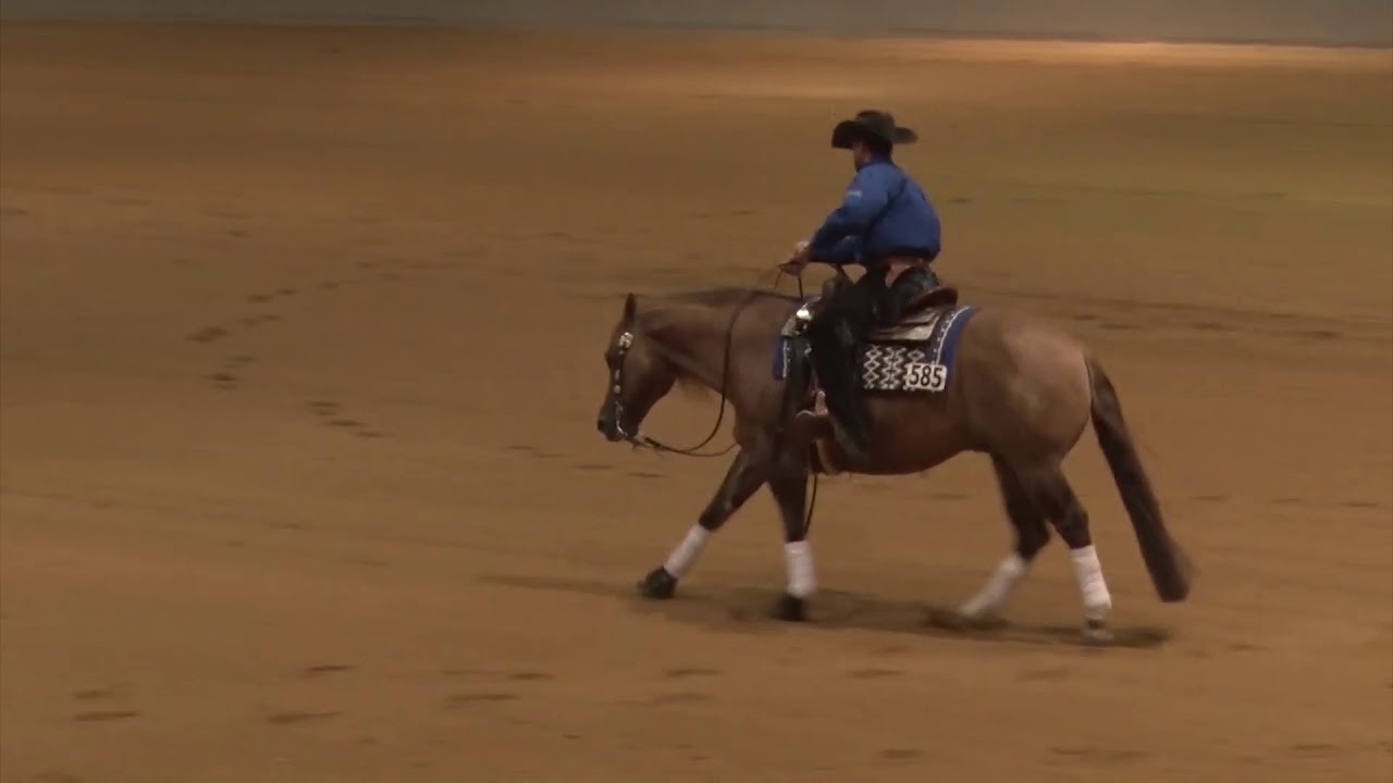 200221 Open Robin Schoeller on Tinseltown Flash YouTube