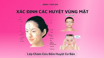 Bài Giảng Xác Định Các Huyệt Vùng Mặt - Học Bấm Huyệt