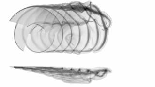 Famous Vortex Particle Simulation of A 4-Bladed Rotor In Forward Flight Wealth