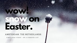 Easter Snow [Timelapse] Sneeuw met Pasen - Nederlands Weather April 5 2021 screenshot 5