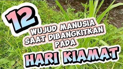 Inilah 12 Wujud Manusia Saat Dibangkitkan Pada Hari Kiamat