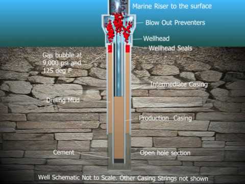 Visualization of Seal Failure at Deepwater Horizon Offshore Drilling Site