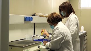 COVID-19 origin tracing needs scientific, not political answer: Philippine presidential spokesperson