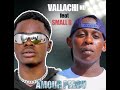 Vallachi feat small b  amour perdu audio officielle