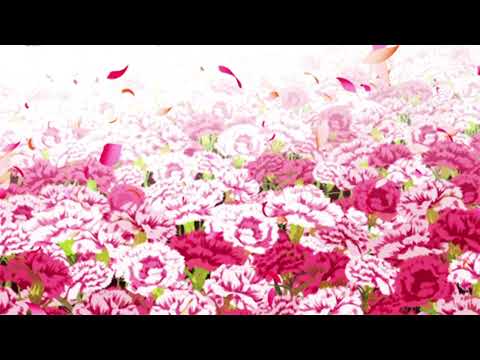 stelliform - erra (slowed + reverbed)