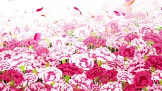 Stelliform  Erra slowed  Reverbed