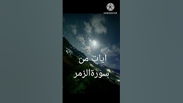 قل اني امرت ان اعبد الله مخلصا له الدين 🌸أيات من سورة الزمر 🌸 القارئ الشيخ ماهر المعيقلي