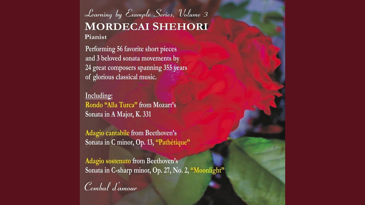 Mira Ballade in C Minor en YouTube