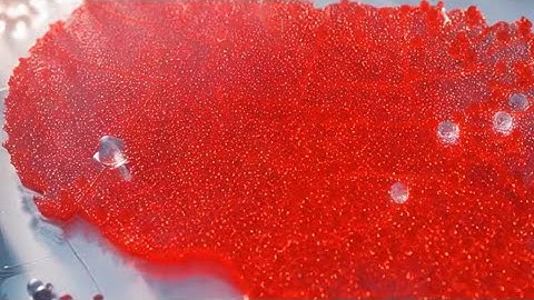 Unlocking China’s Top Drug Pipelines: A Data-Driven Approach