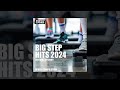 BIG STEP HITS 2024 132 Bpm 32 Count Fitness Music 2024 BIG STEP HITS 2024 132 Bpm 32 Count Fitness Music 2024